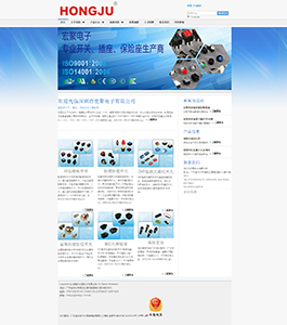 某电子公司网站